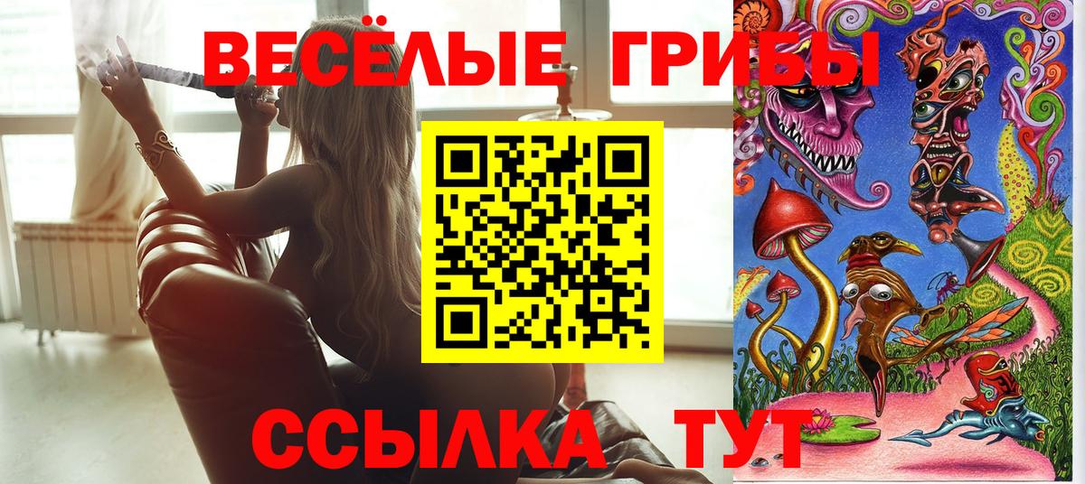 Майкоп  Псилоцибиновые грибы Psilocybine cubensis  Вход с VPN 